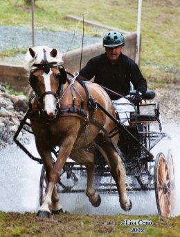 hafling7